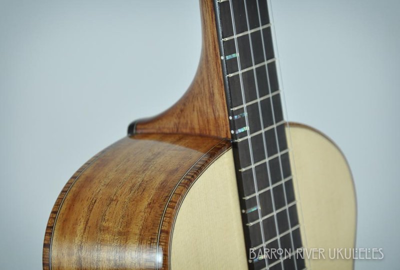 Blackwood Baritione_2013December26_041.jpg