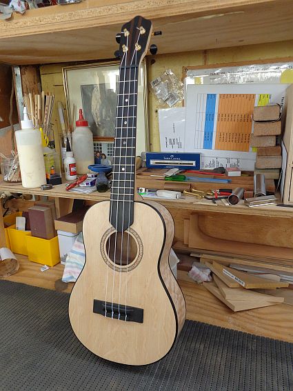 Big Leaf Maple spruce top.jpg