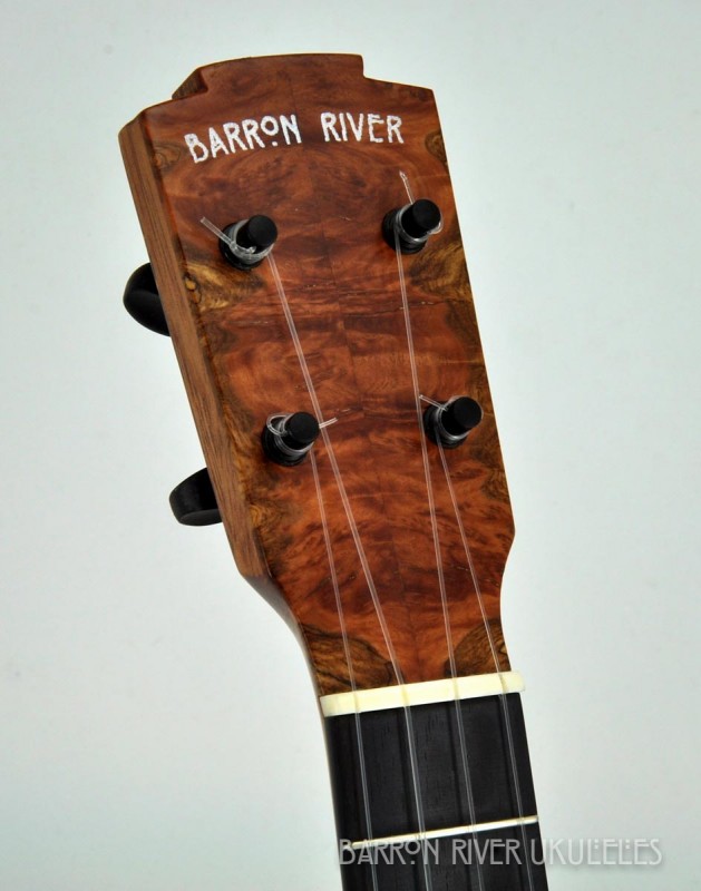 Tiger Myrtle Long Neck Soprano_2014May23_019.jpg