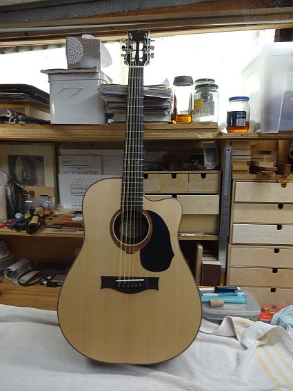 Maurice made a 12 string.jpg