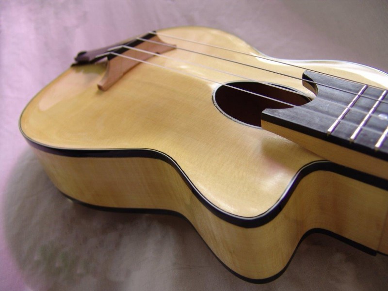 Archtop5.jpg