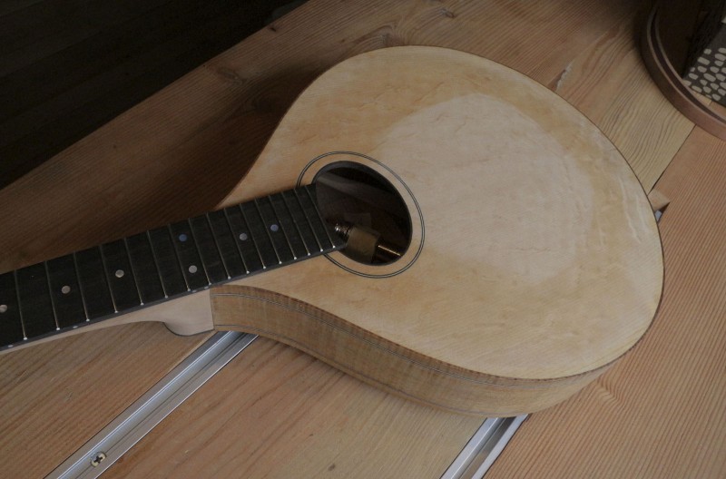Mandolin 4.jpg