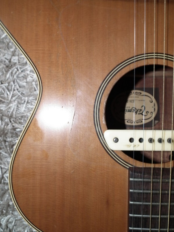 takamine-en20-617536.jpg