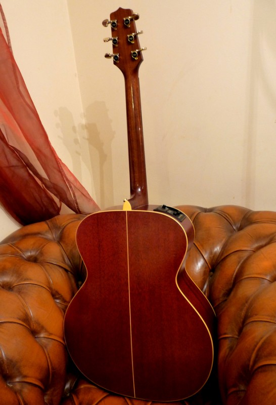 takamine-en20-697710.jpg