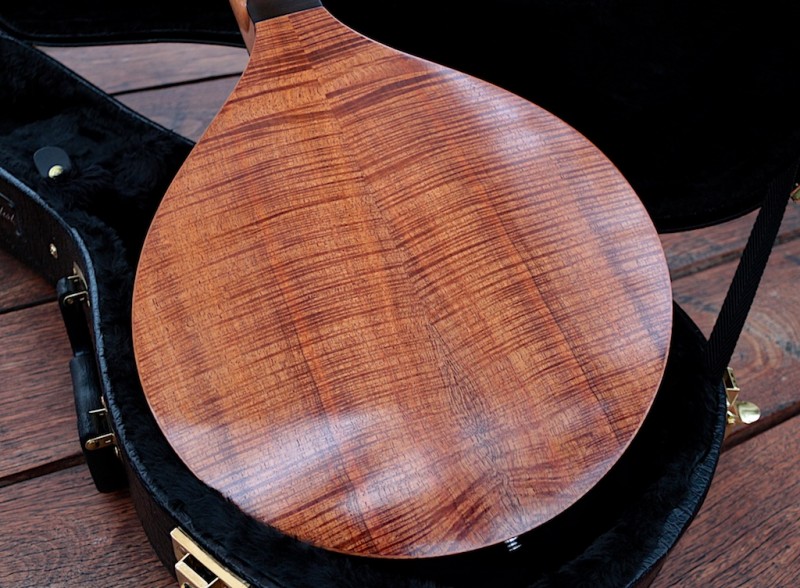 Mandolin - Blackwood - Sitka Spruce 6.jpg