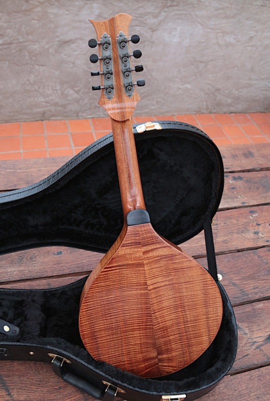 Mandolin - Blackwood - Sitka Spruce 8.jpg