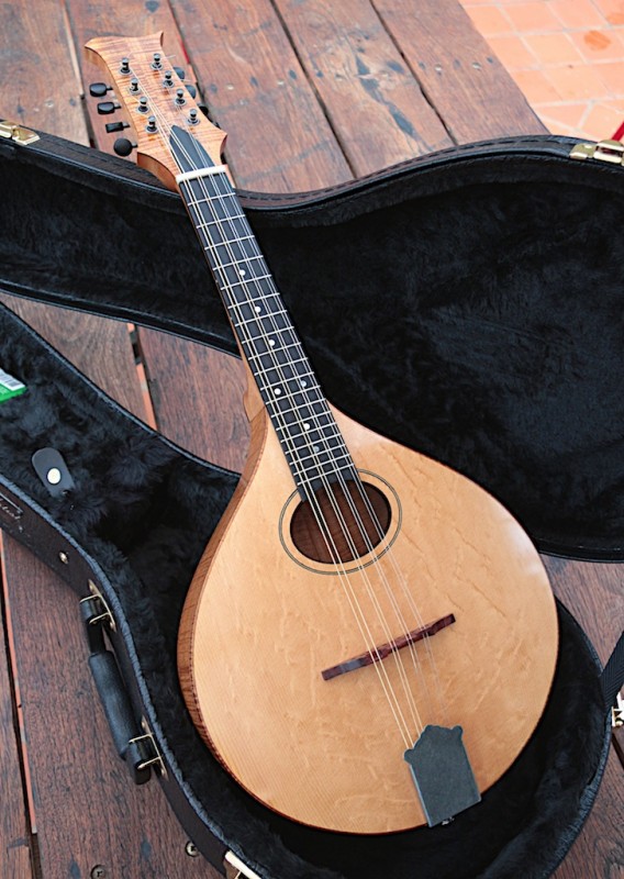 Mandolin - Blackwood - Sitka Spruce 9.jpg