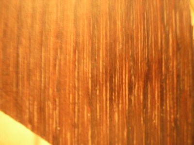 PC160047 (400 x 299).jpg