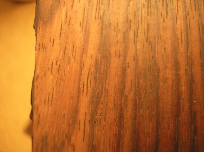 PC160044 (400 x 299).jpg