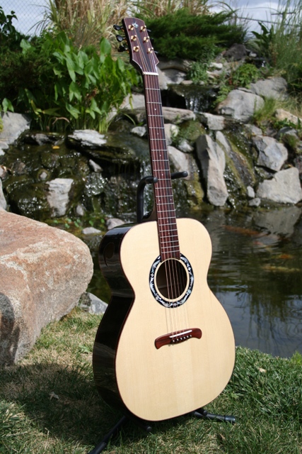 kauri 2.jpg