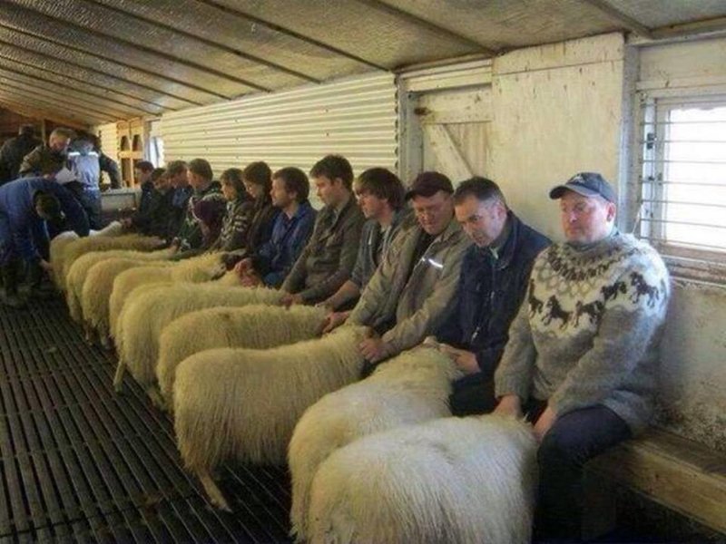 Speed Dating NZ.jpg