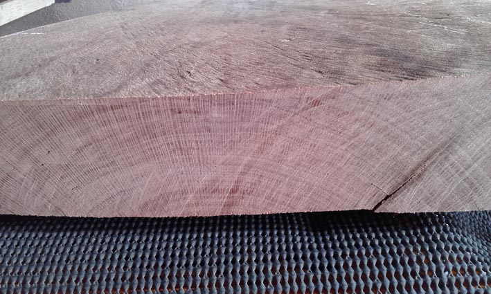 Beefwood.jpg