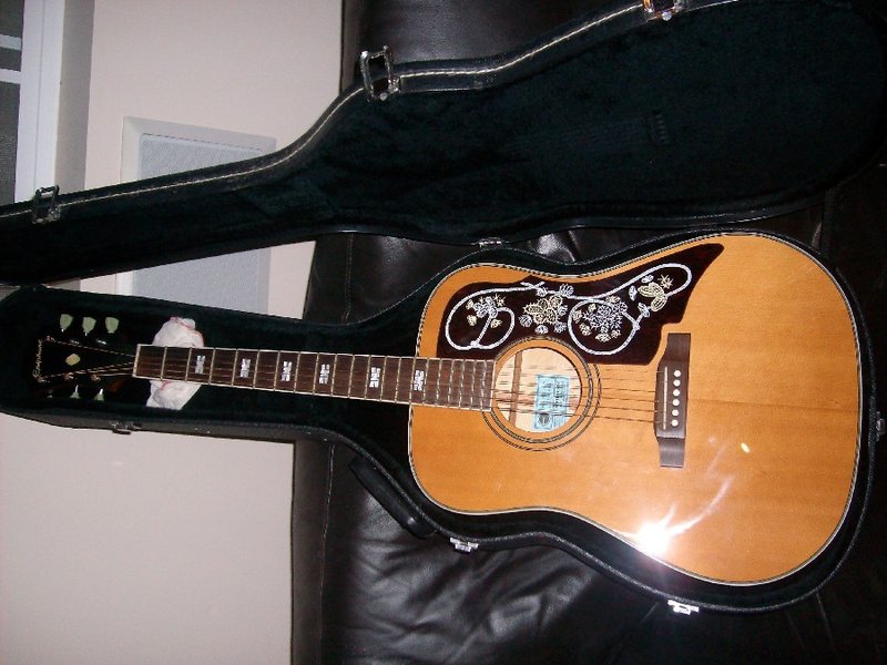 Pam's Guitar case.jpg