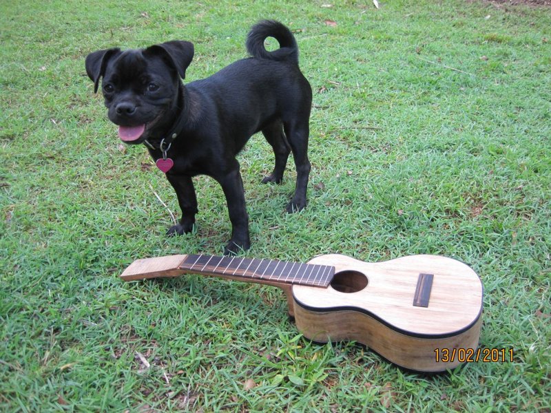 uncle mike's soprano 026.jpg