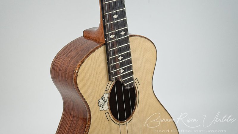 Honduran Rosewood-Andirondack Tenor - 4.jpg