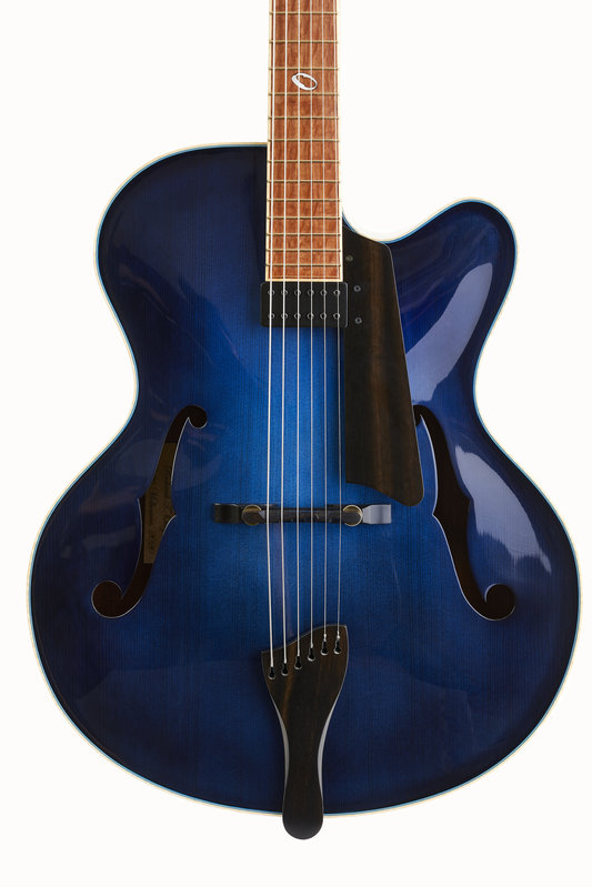 OCTIGAN_GUITARS_0016 1.jpg