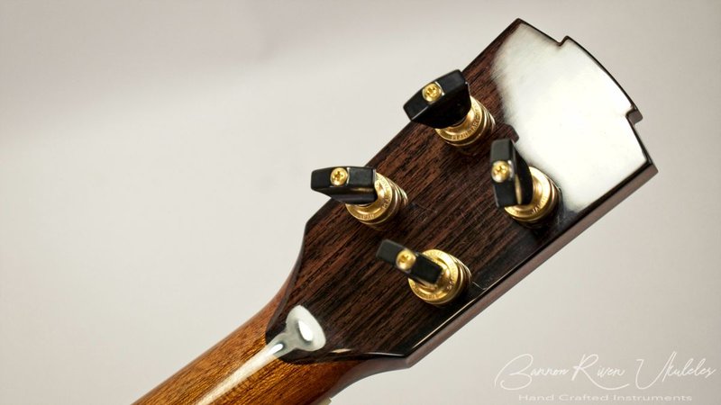 Raindrop Koa Tenor8.jpg