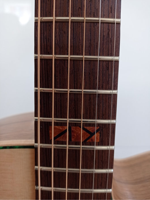 Fret marker.jpg