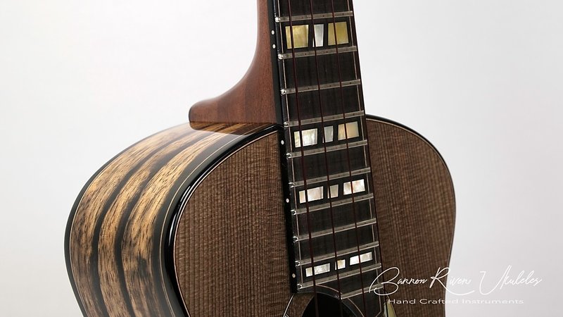 Mun Ebony - Ancient Sitka Tenor1.jpg