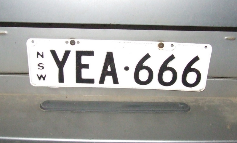 009.JPG