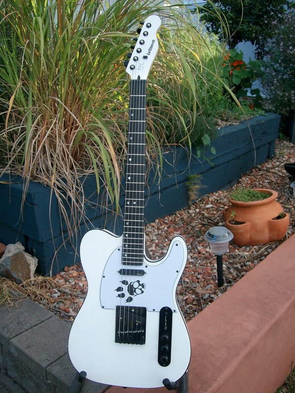 Guitars 010.JPG