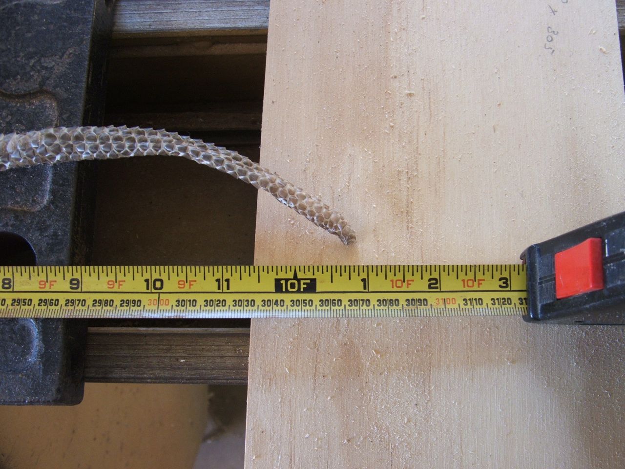 snake skin measure.jpg