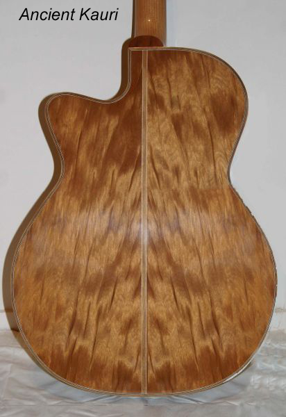ancient kauri.jpg