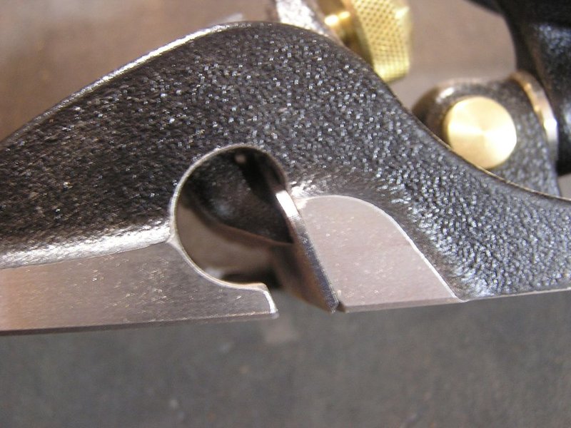 P1010457a.jpg