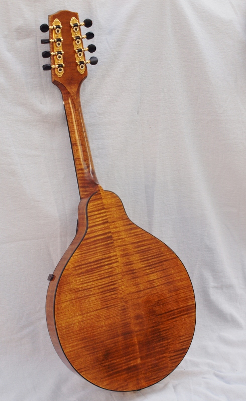 Mandola back.jpg