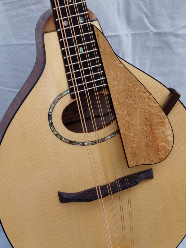 Mandola detail.jpg