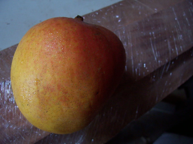 mangoanzlf.jpg
