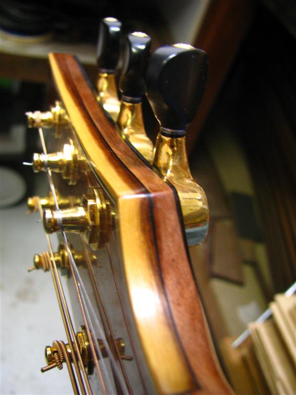 hs_bindings1 (Medium).jpg