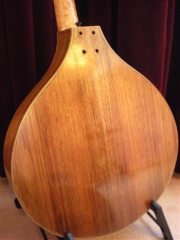 Bunya Irish Zouk 3 (Small).JPG