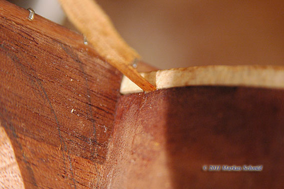 2011_D70_4151.JPG