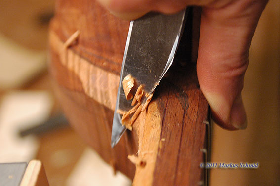 2011_D70_4135.JPG