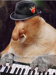 dnose.jpg