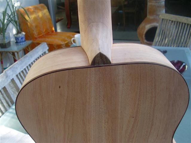 brunswick rose 008 (Small).JPG