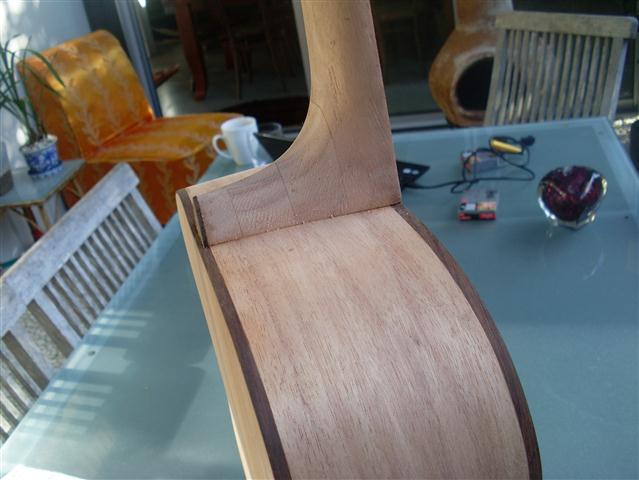 brunswick rose 009 (Small).JPG