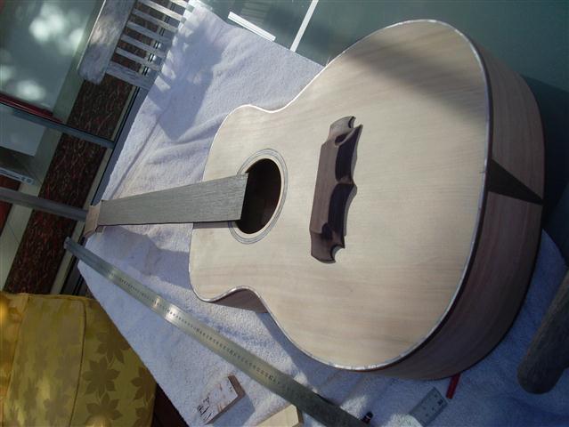 brunswick rose 005 (Small).JPG