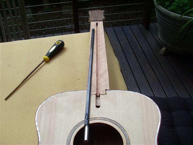 brunswick rose 005 (Small).JPG