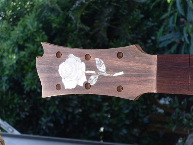 brunswick rose 005 (Small).JPG