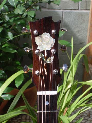 brunswick rose 018 (Small).JPG