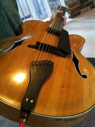 Kauri Archtop  2b small.jpg