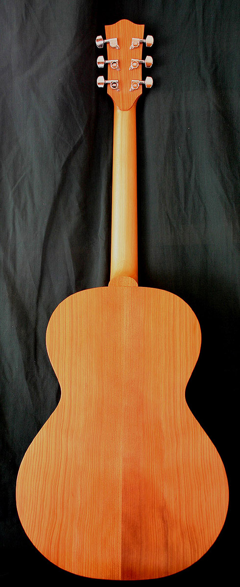 new guitar 4.jpg