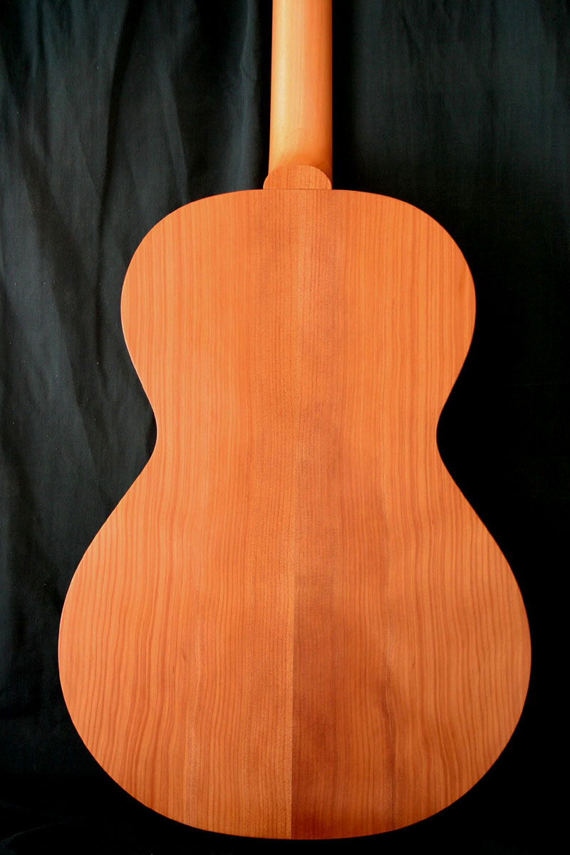 new guitar 5.jpg