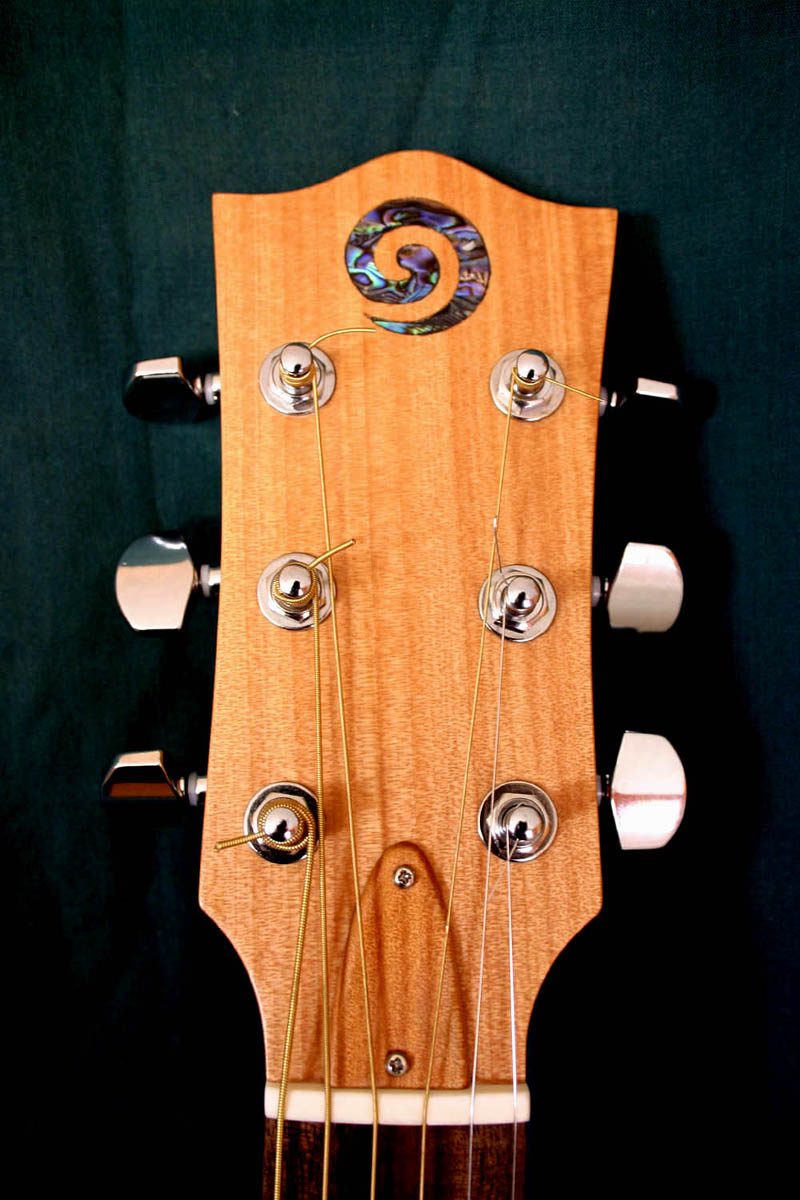 new guitar 9.jpg