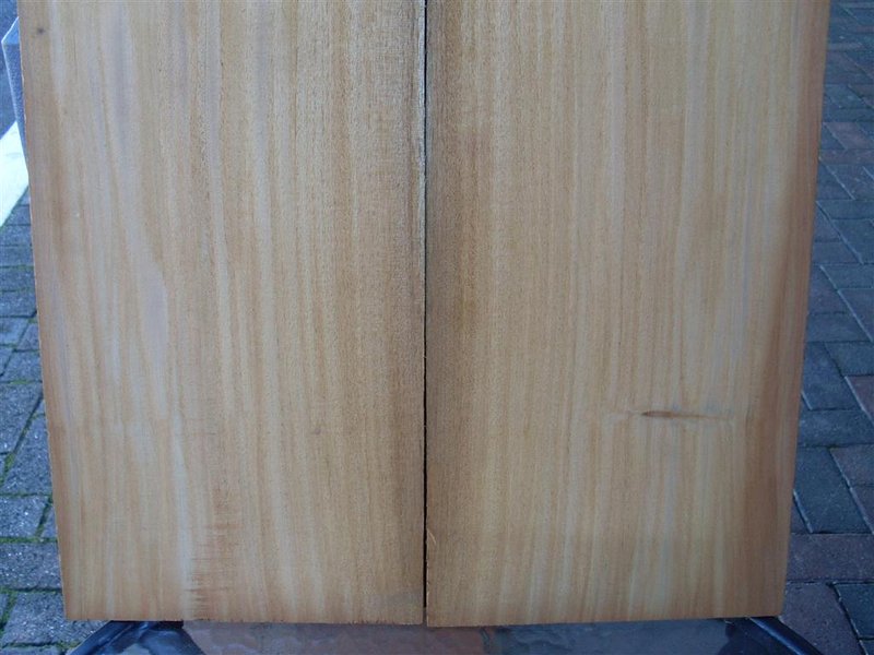 mahogany 006 (Medium).JPG