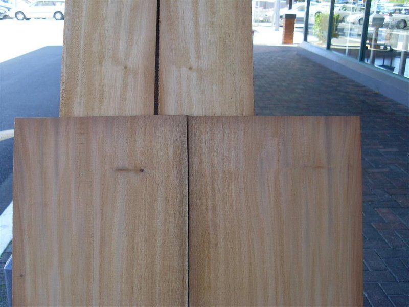 mahogany 007 (Medium).JPG