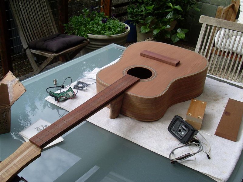 brunswick beauty 007 (Medium).JPG