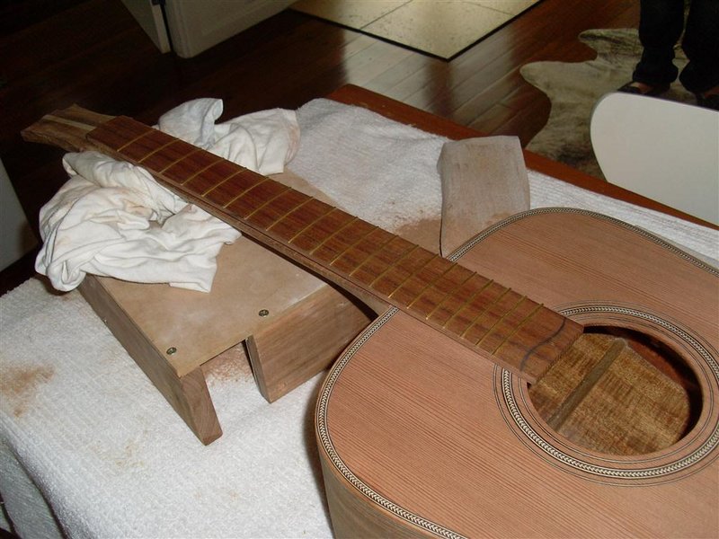 fret 001 (Medium).JPG